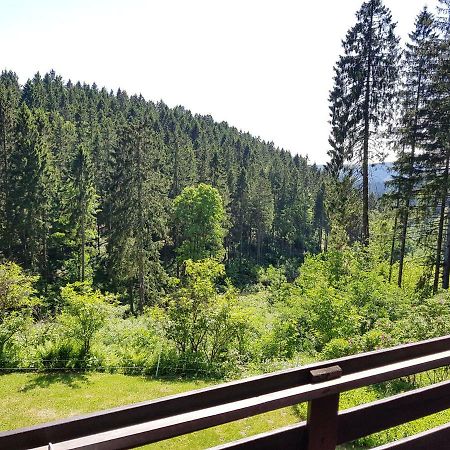 Fewo Waldblick Sankt Andreasberg Dış mekan fotoğraf