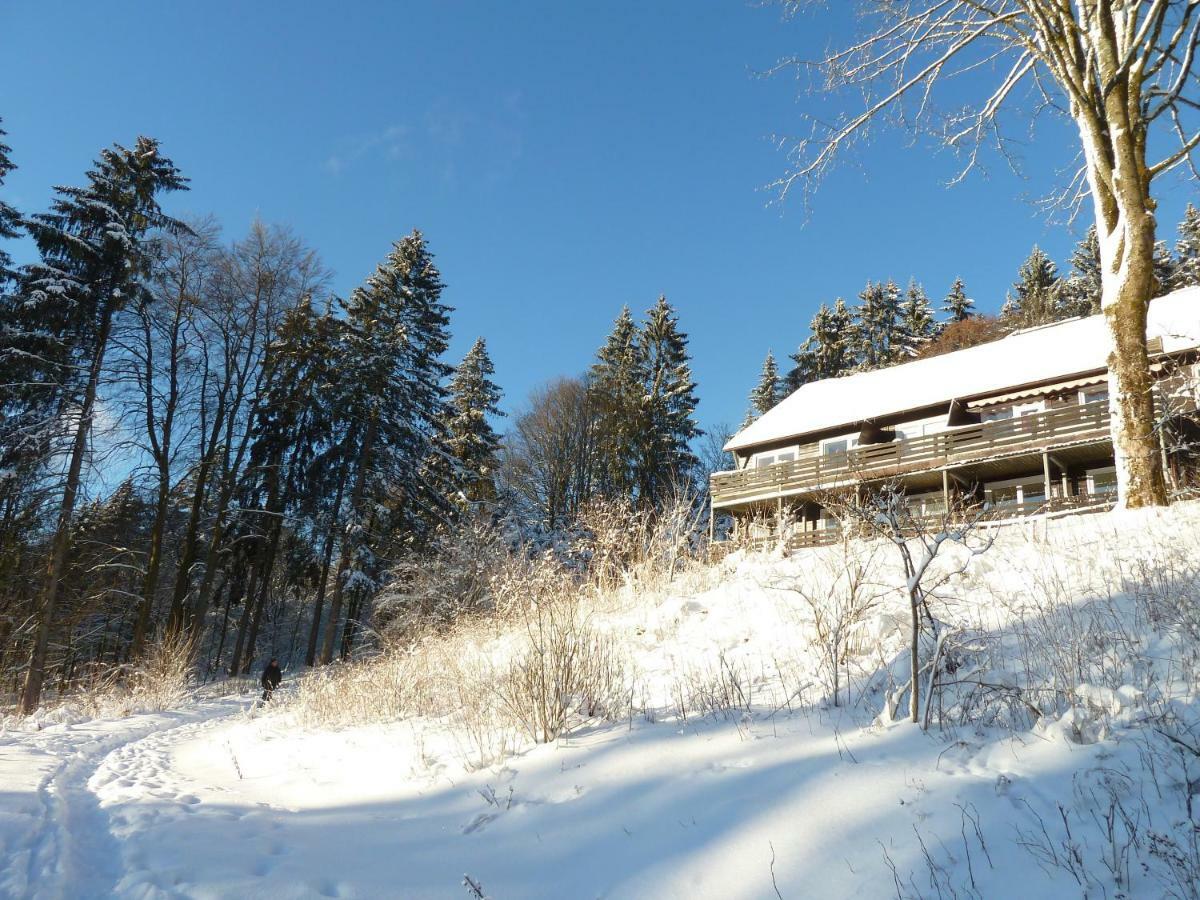 Fewo Waldblick Sankt Andreasberg Dış mekan fotoğraf